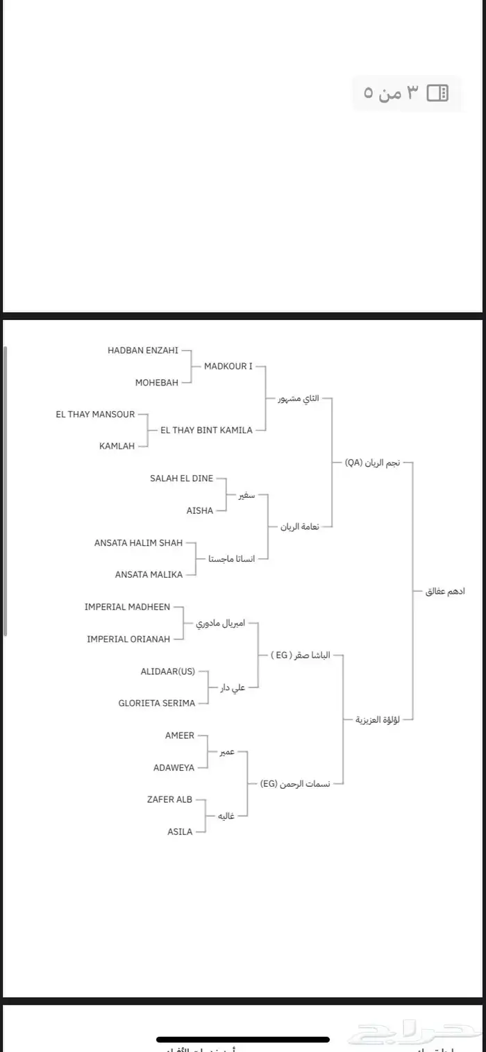 حصان واهو مصري بيور 6