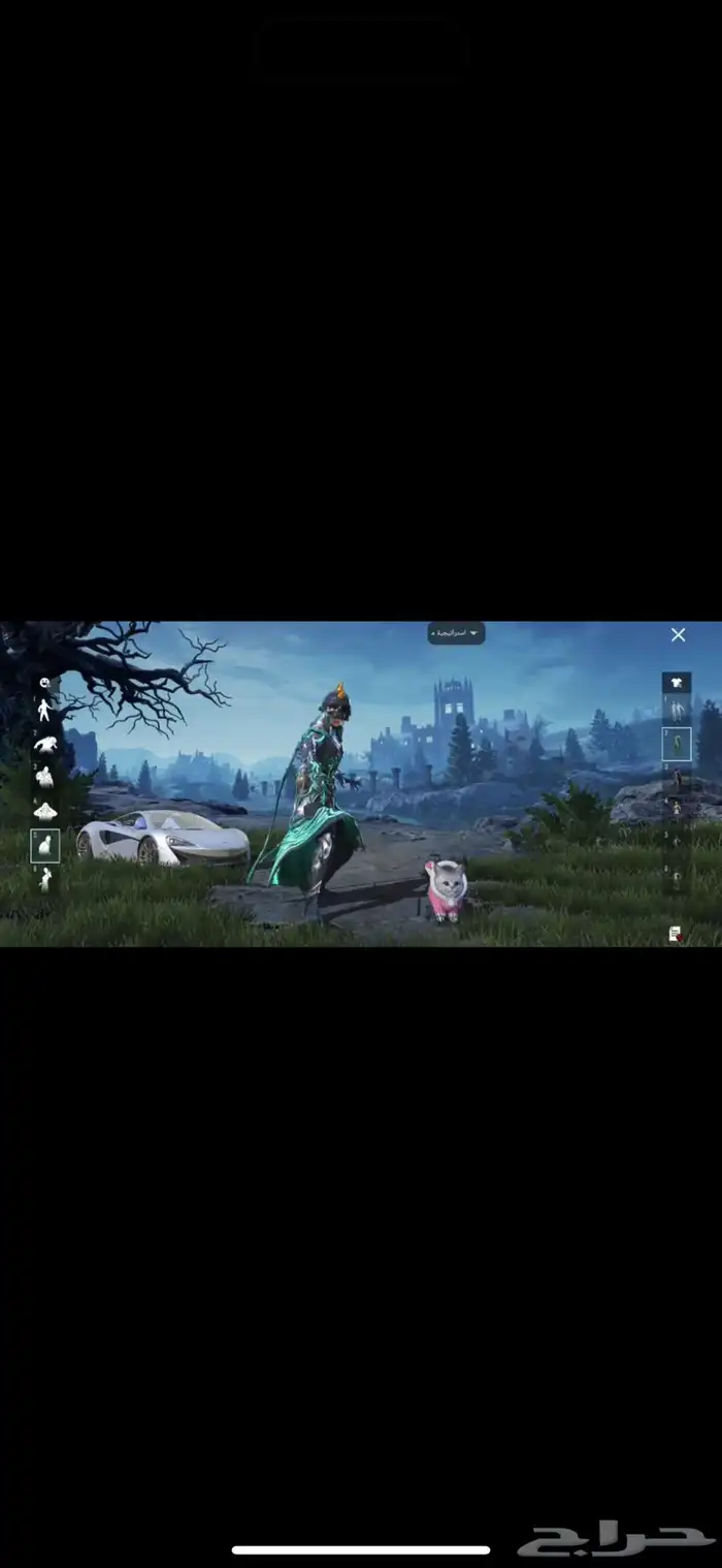ببجي 1