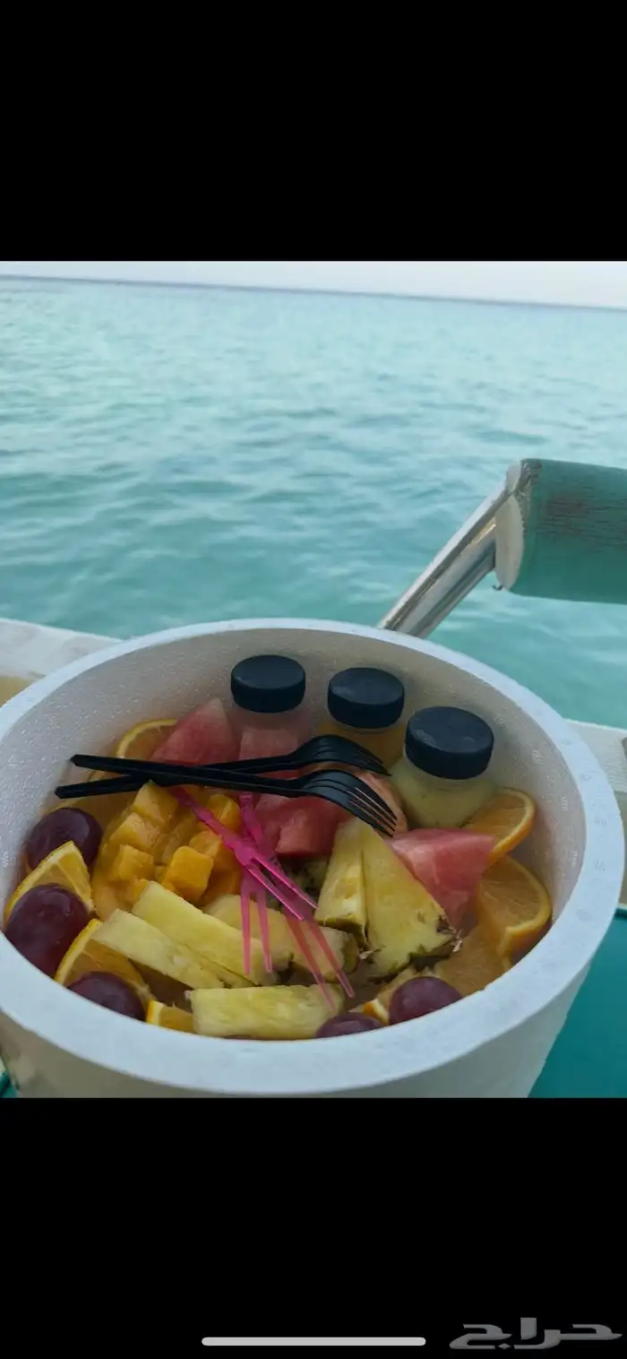 قارب الرايس للرحلات البحريه .. منطقة المدينه المنوره 6