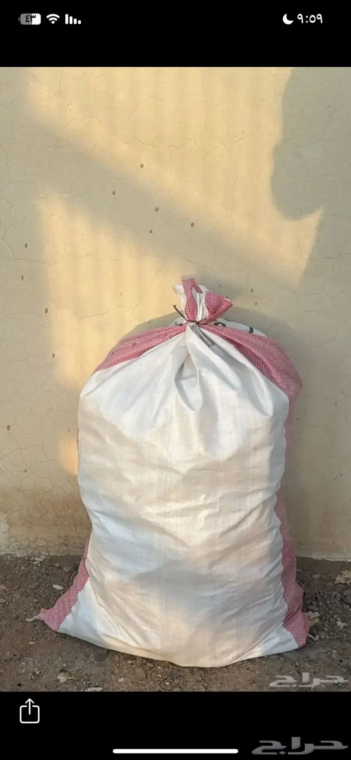 يابس على اشرط 1