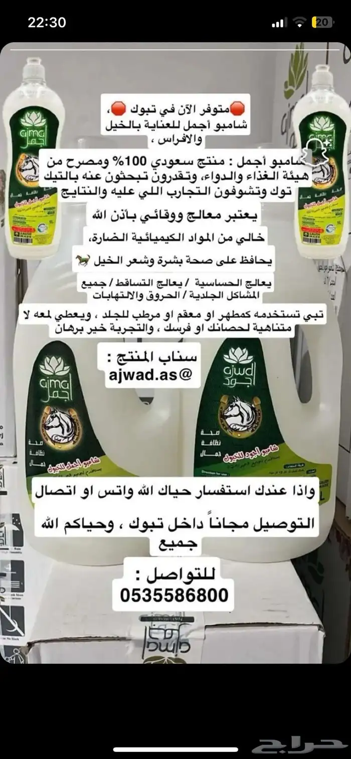 خيل 5