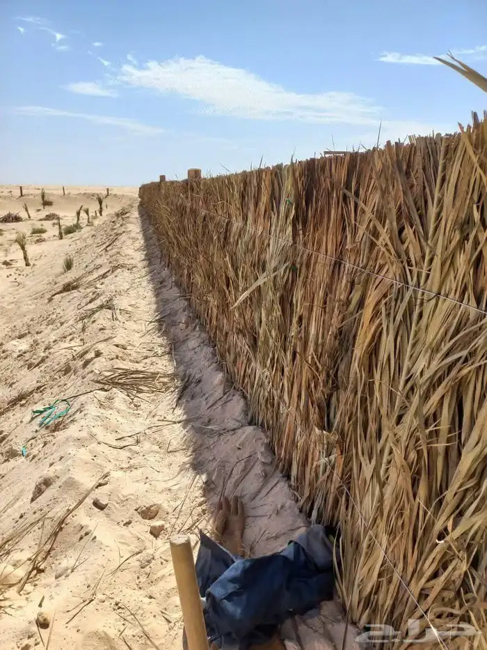 المزاحمية 8