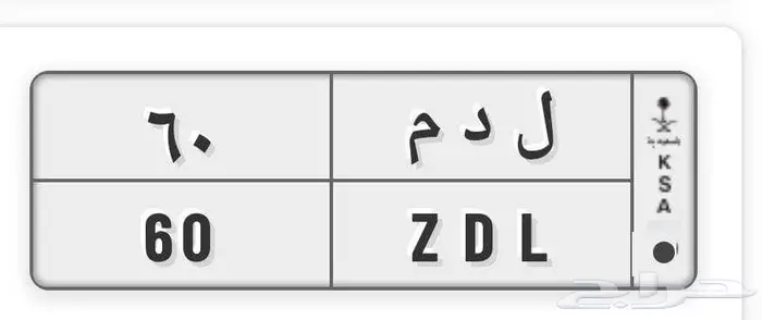 للبيع لوحة مميزة ل د م 60 0