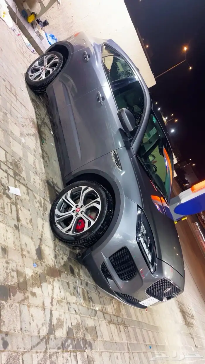 جاكور. 2019 5