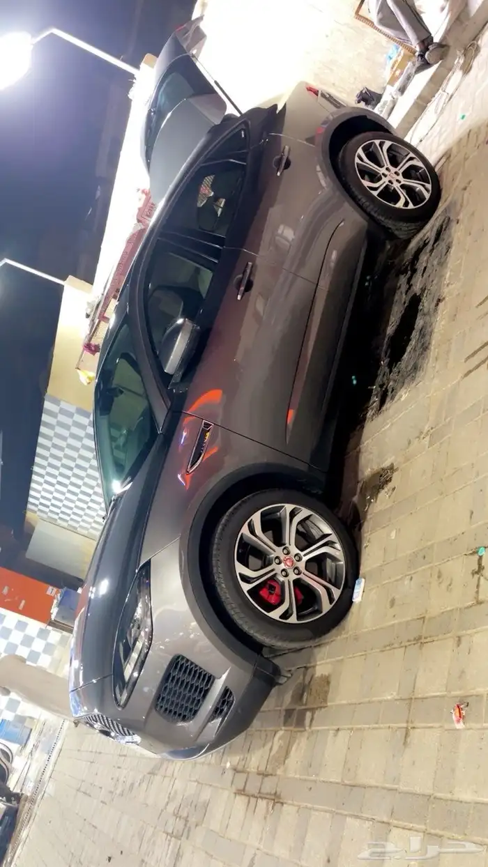جاكور. 2019 4