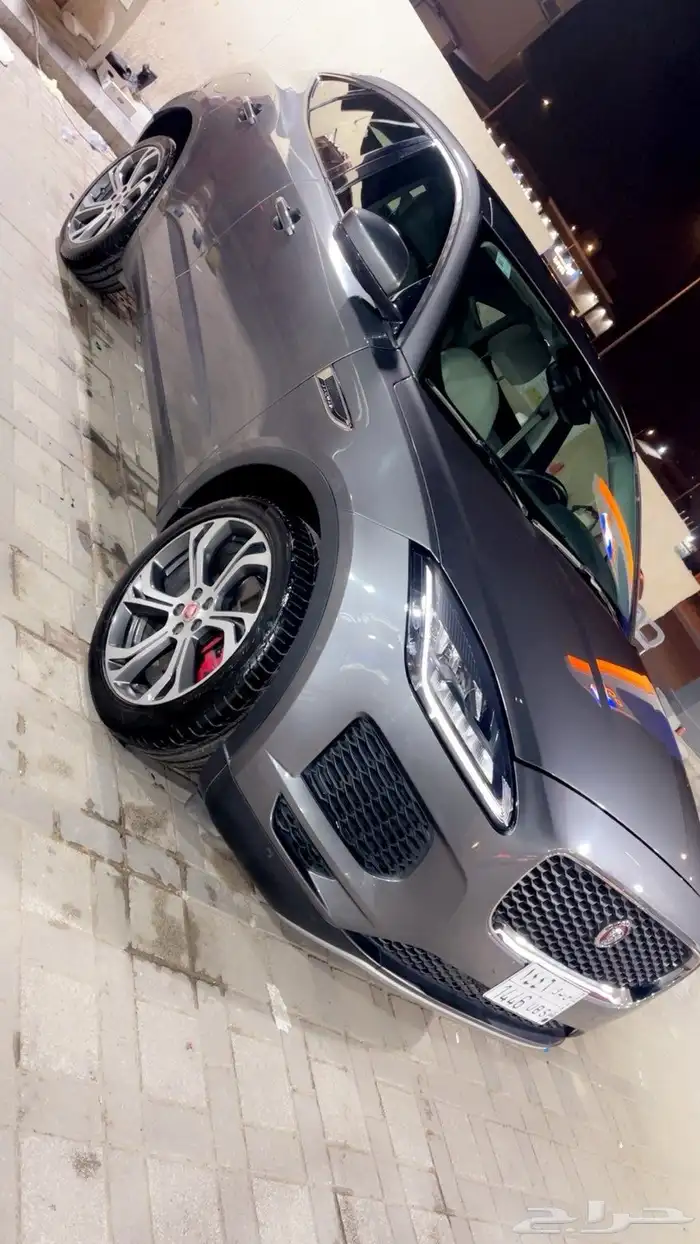 جاكور. 2019 1