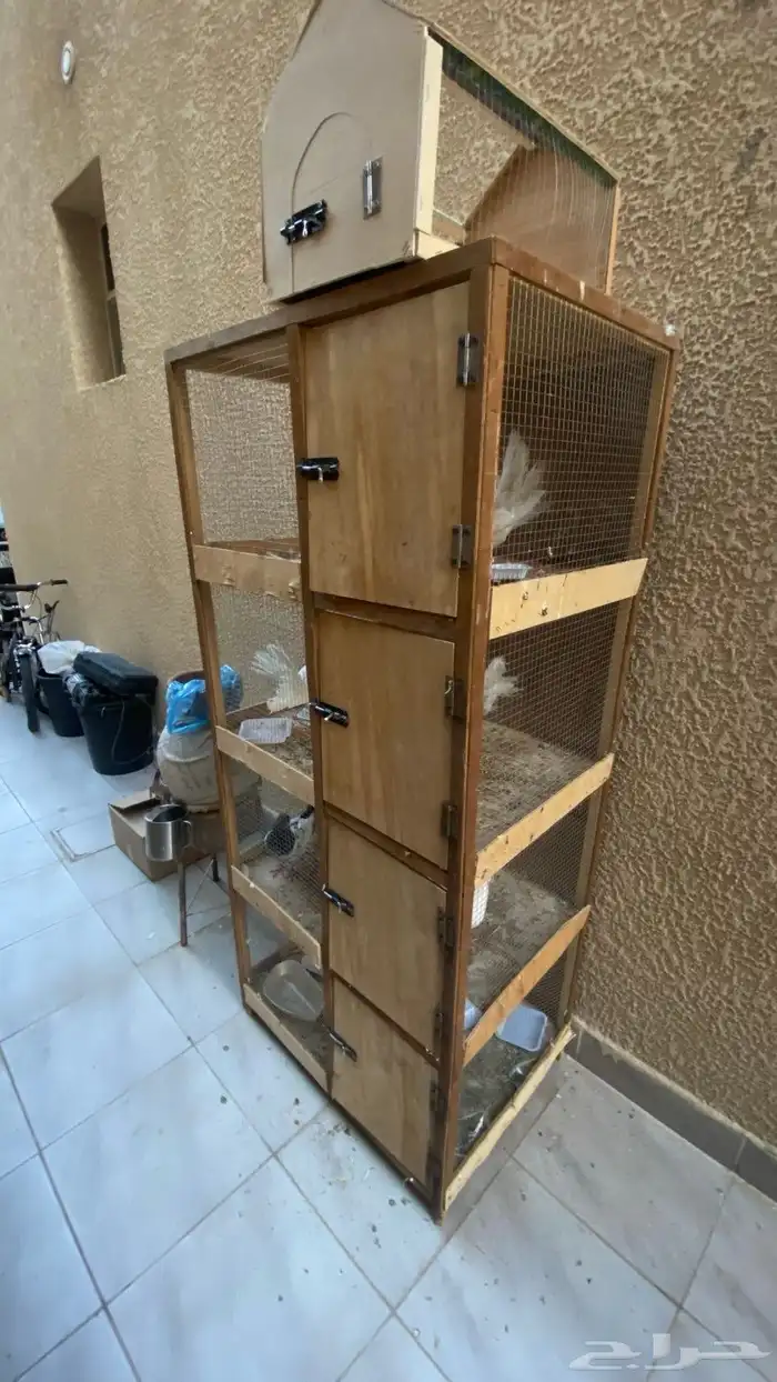 حمام 6