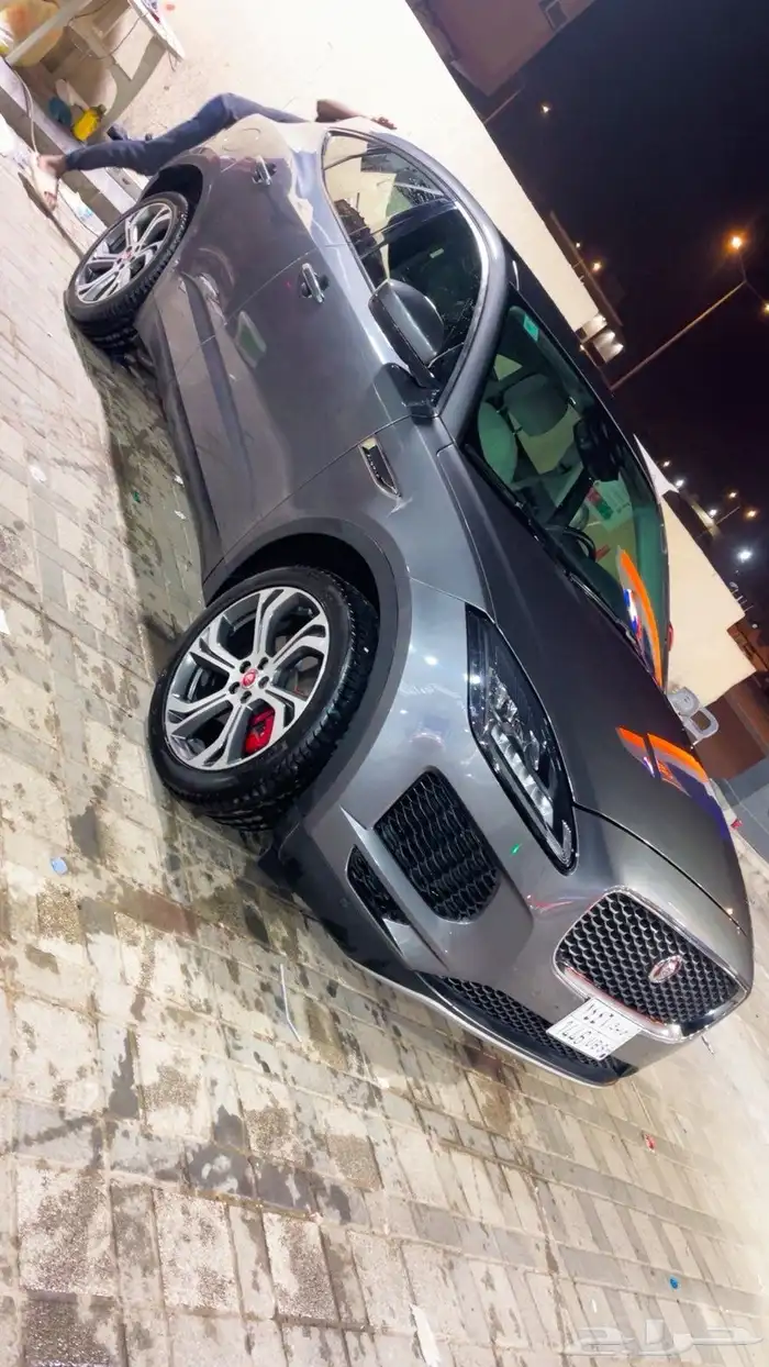 جاكور. 2019 3
