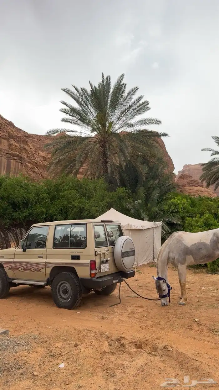 ربع 2006 0