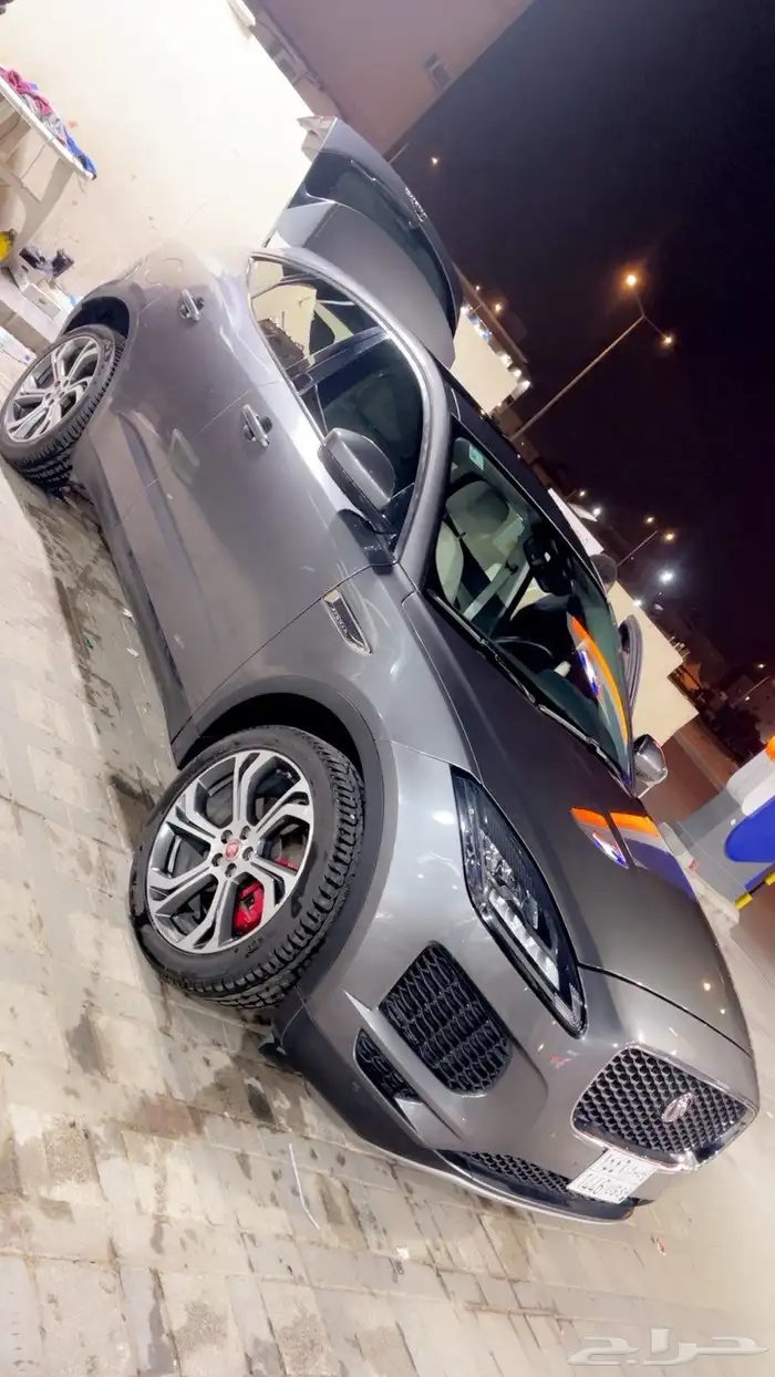 جاكور. 2019 0