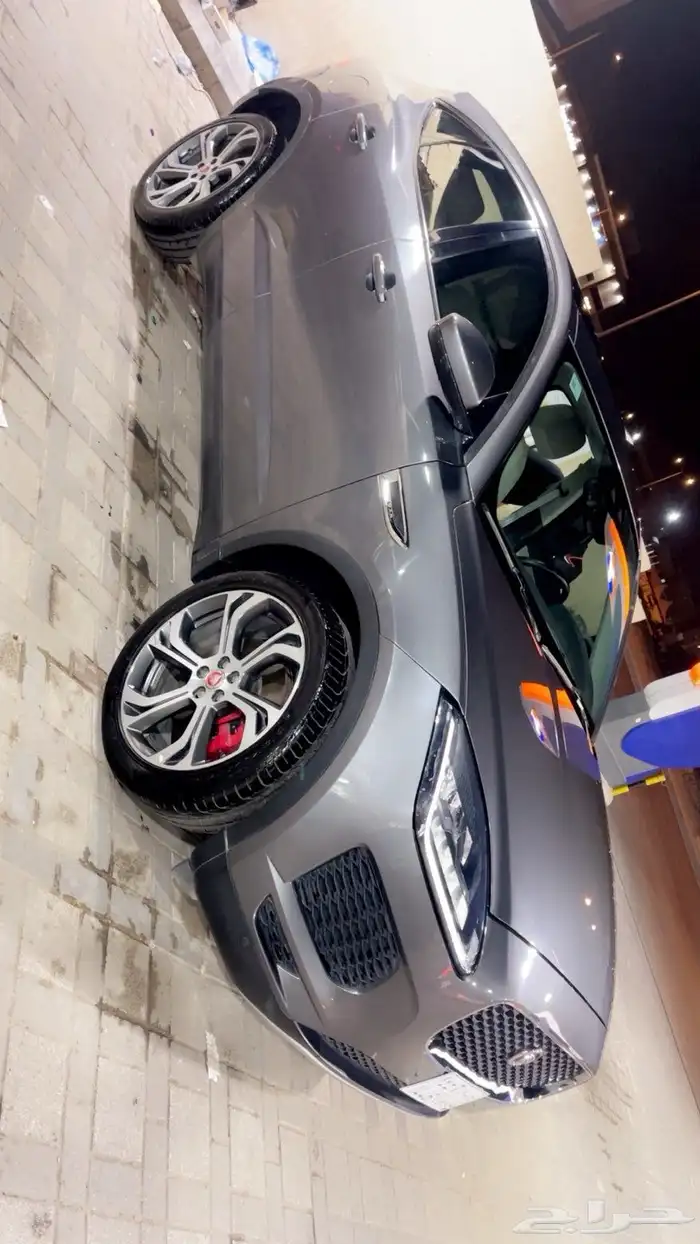 جاكور. 2019 2