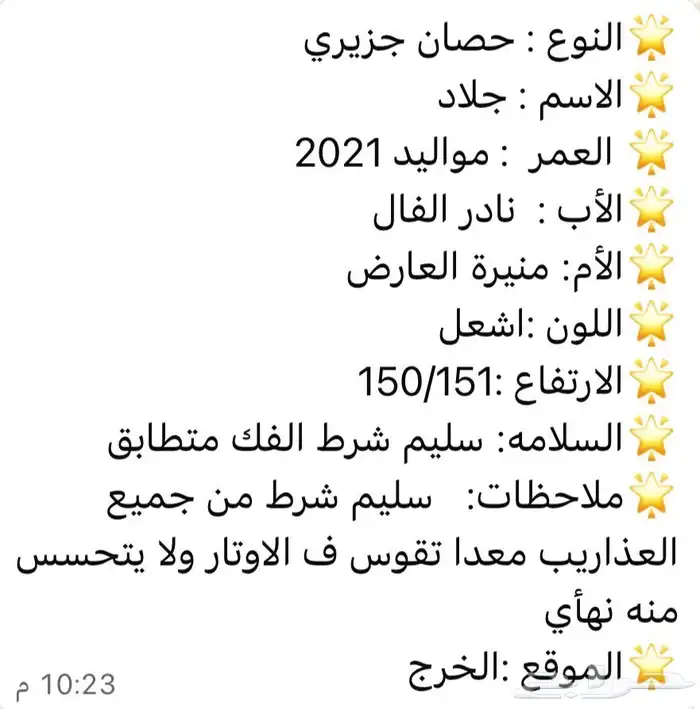 حصان جزيري 2