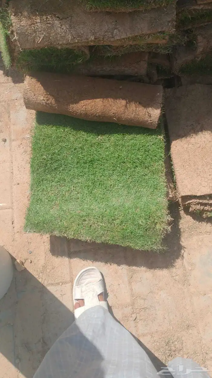 عشب طبيعي وأحواض زراعه طبيعي 1