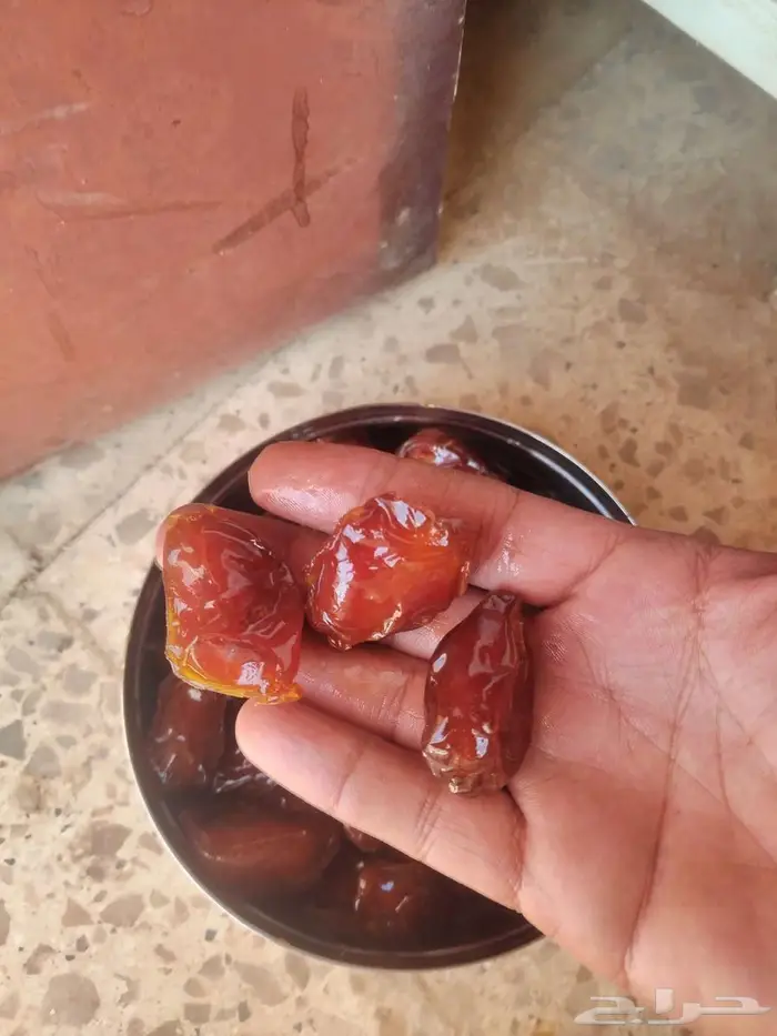 تمر خلاص للبيع 2