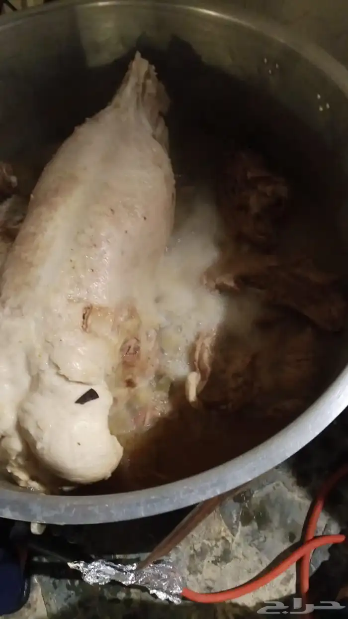 ظباخ متنقل مع جميع ملتزمته 4