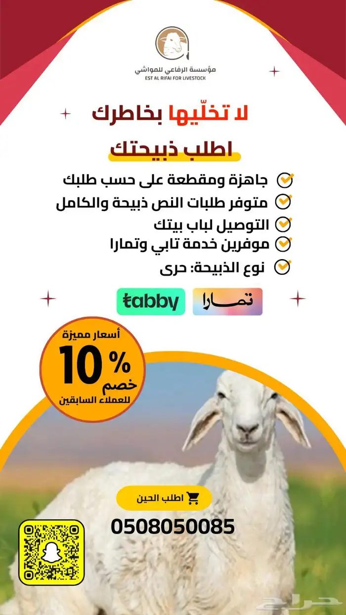 مصمم متاجر ولوقوهات 10