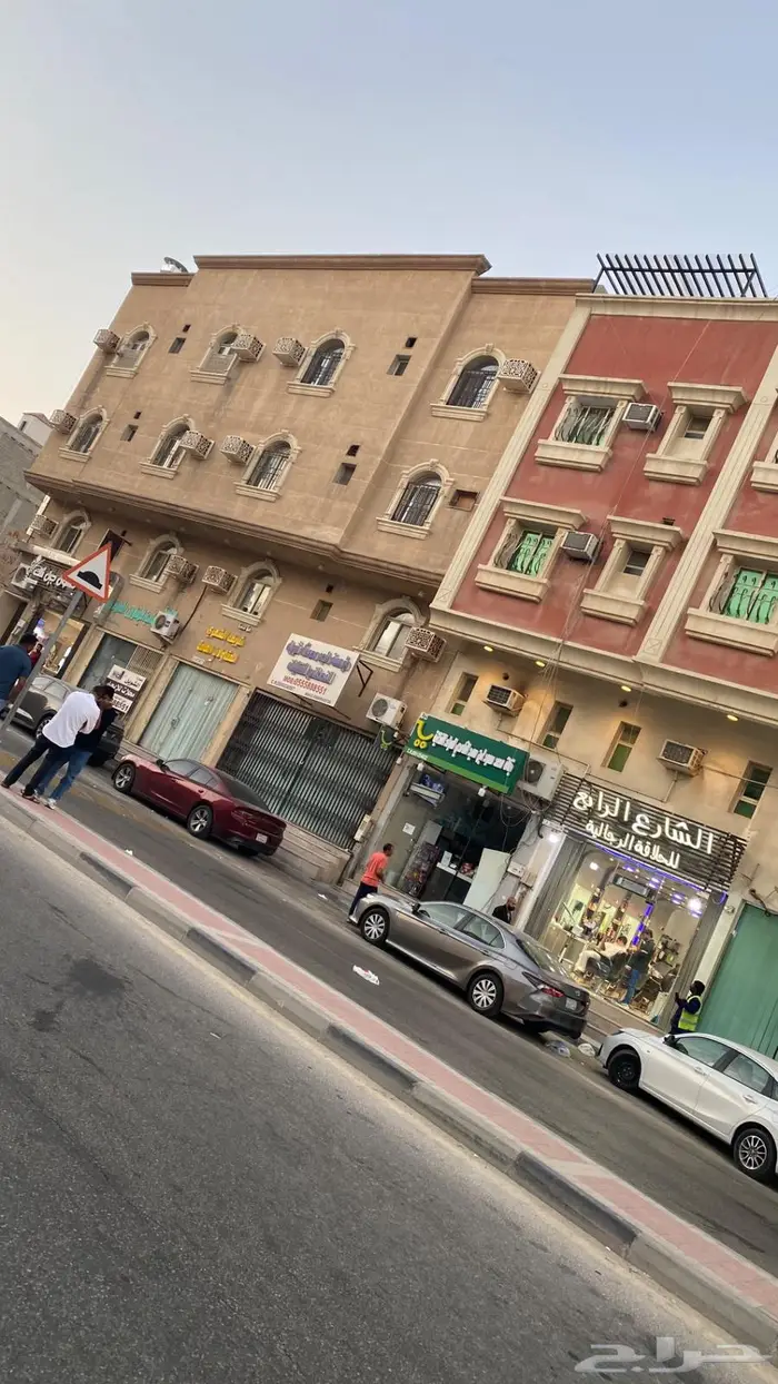 باقله للبيع او للتقبيل 6