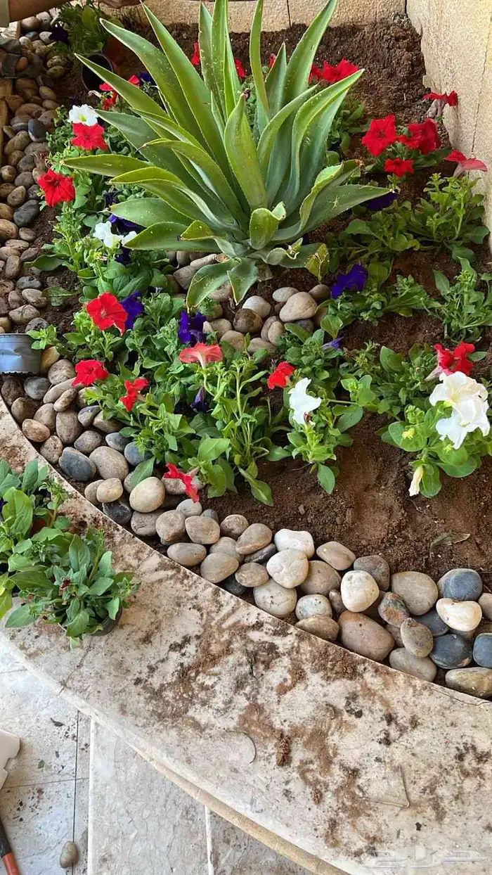عشب طبيعي وأحواض زراعه طبيعي 6