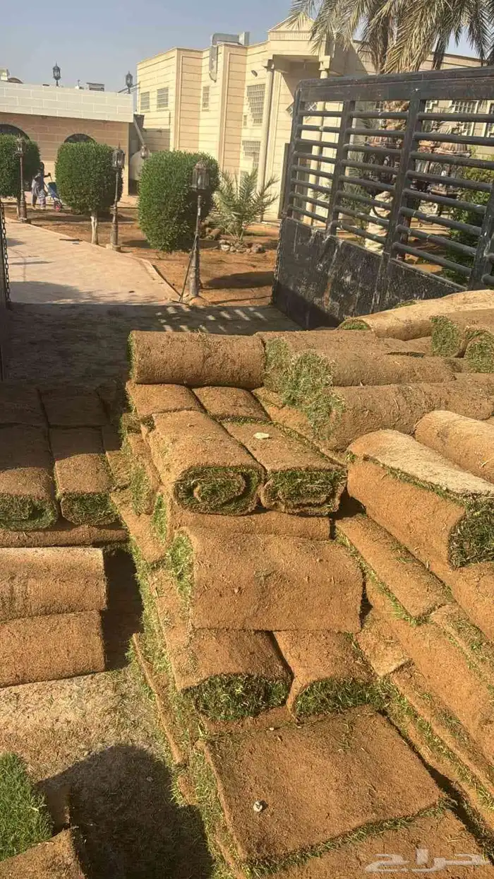 عشب طبيعي وأحواض زراعه طبيعي 4
