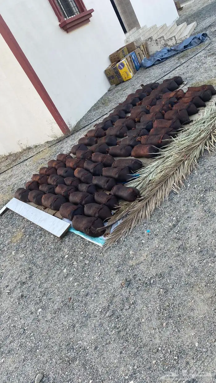 شنان تمر للبيع 0
