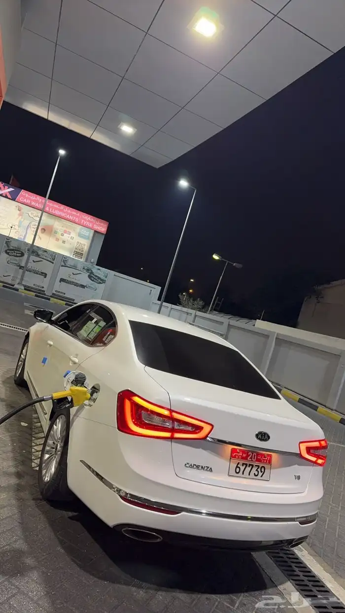 للبيع كادينزا لوحات دبى 10