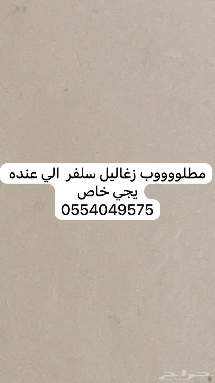 مطلوب زغاليل سلفر 0