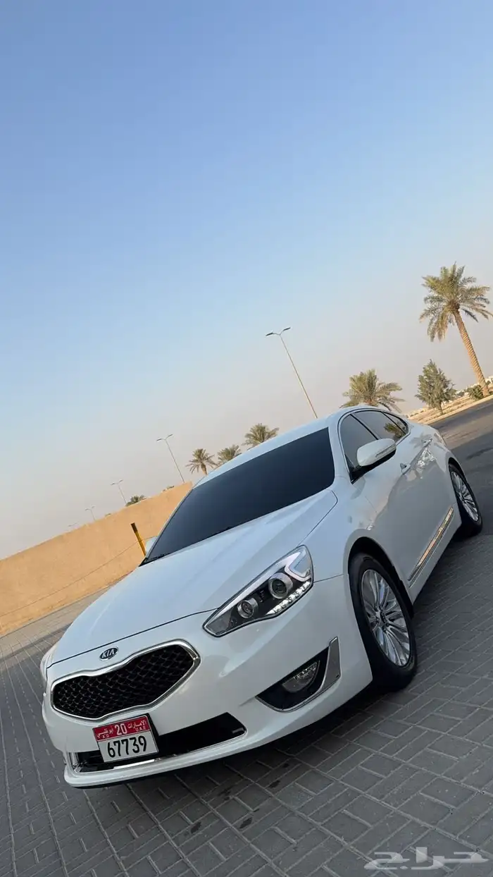 للبيع كادينزا لوحات دبى 6