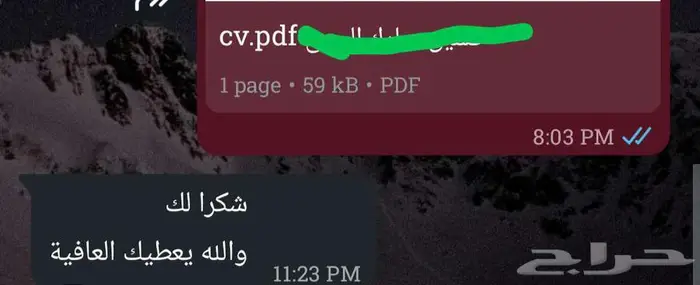 سيرة ذاتية (CV) متوافقة مع أنظمة التوظيف (ATS) بسعر رمزي 21