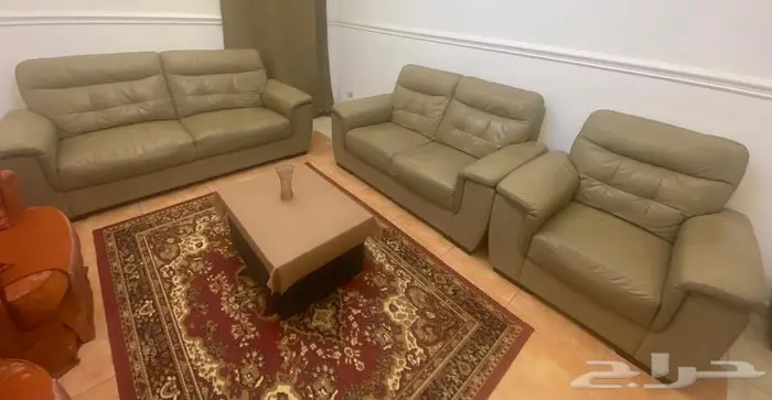 أنترية جلد 0