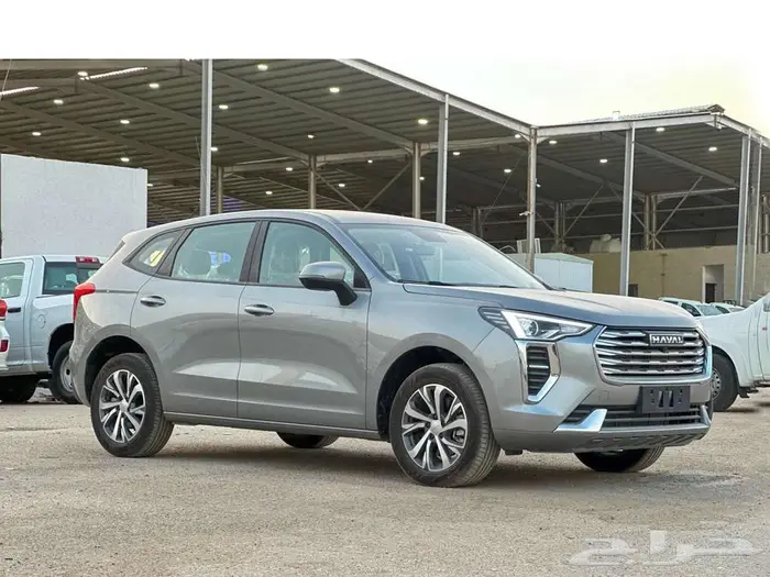 هافال جوليان بيسك موديل 2024 1