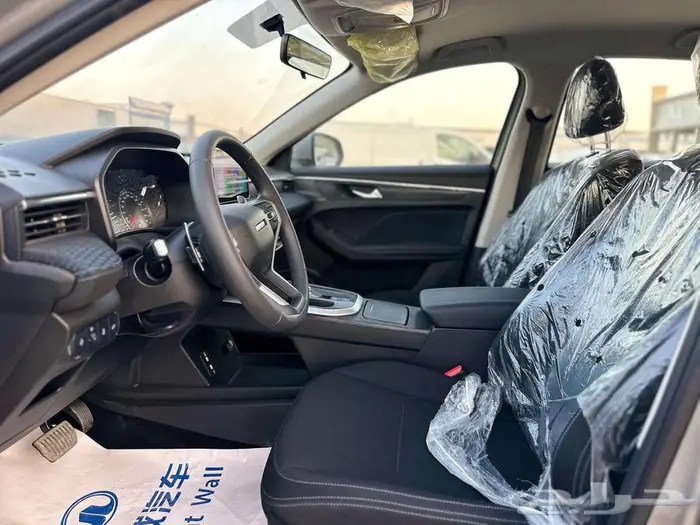هافال جوليان بيسك موديل 2024 8