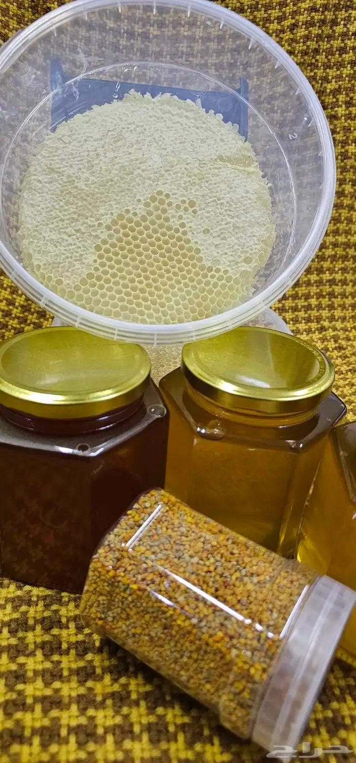 عسل قرع انتاجي طبيعي 100 بيع بالجملة 8
