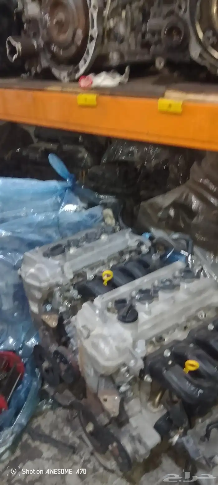 محرك وقير جنسس كوبي جنسس جميع المقاست واحدث النودي لات 6