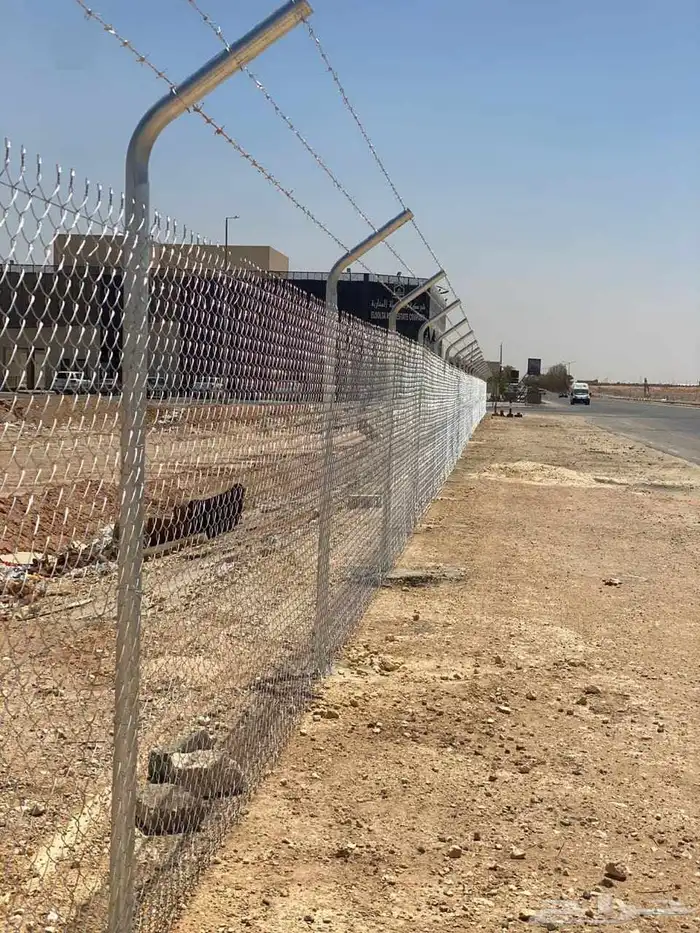 نخيل توريد وتركيب وشبوك 8