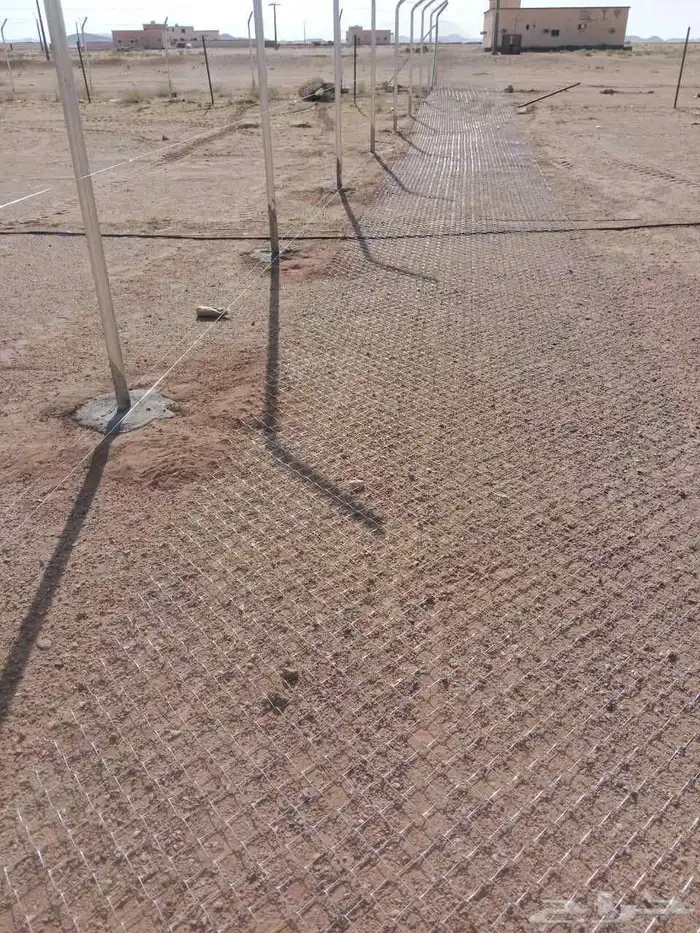 ابوعلي للمقاولات العامه تركيب شبوك وزراعة نخيل 4