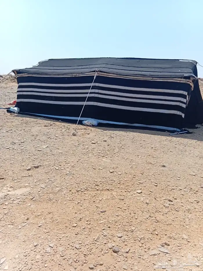 قطبه للبيع 0