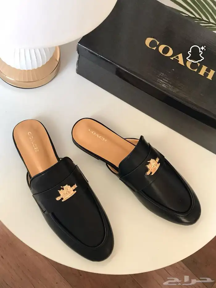 شنط  شوزات  ماستر_كواليتي 31