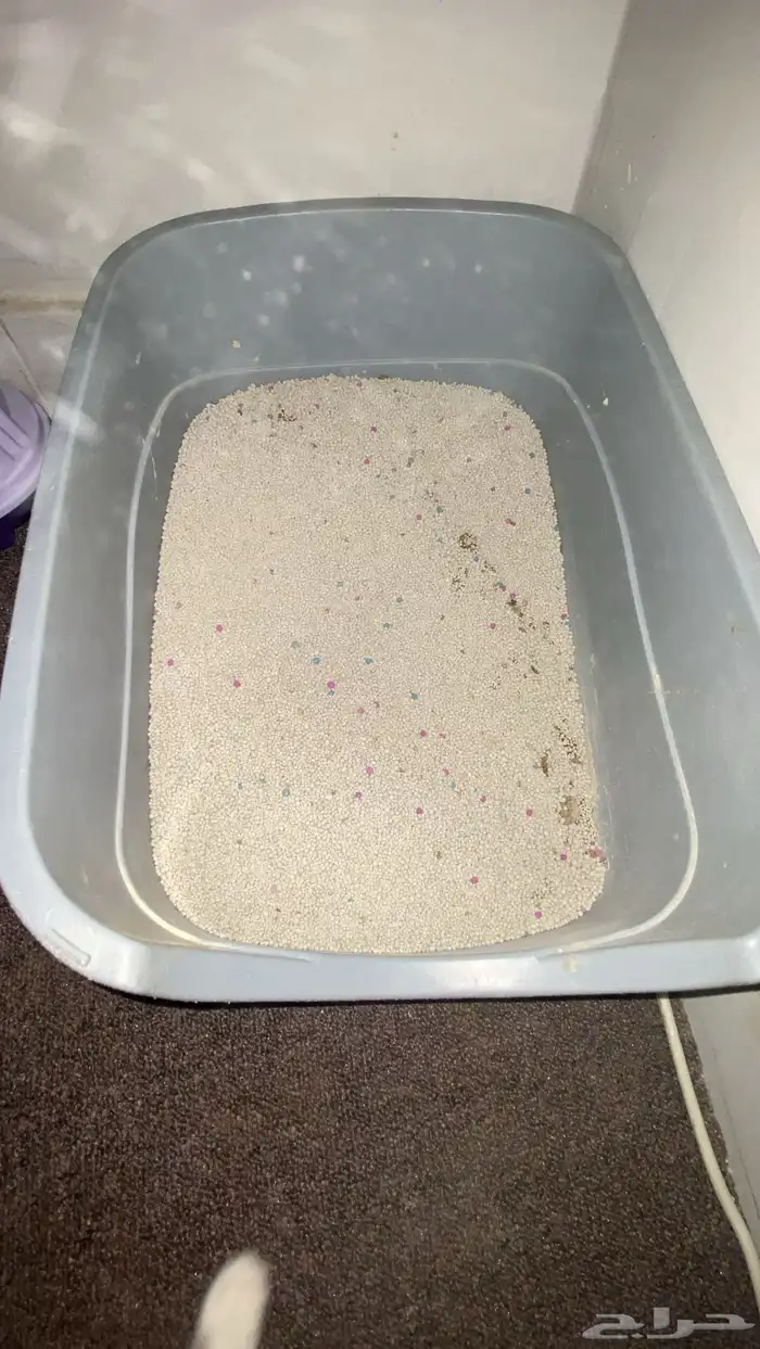 اغراض قطط للبيع 0