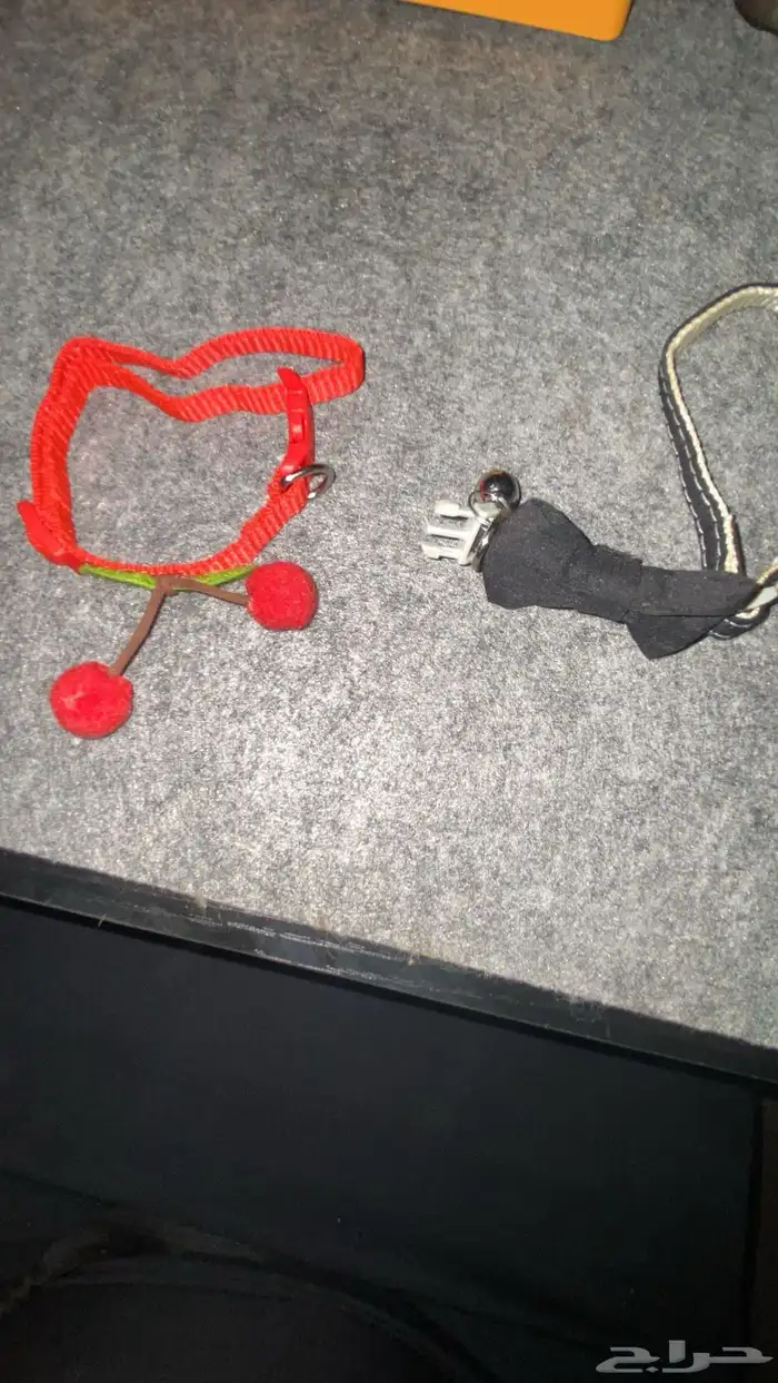 اغراض قطط للبيع 3