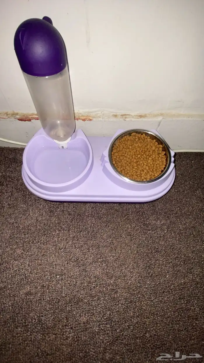 اغراض قطط للبيع 1