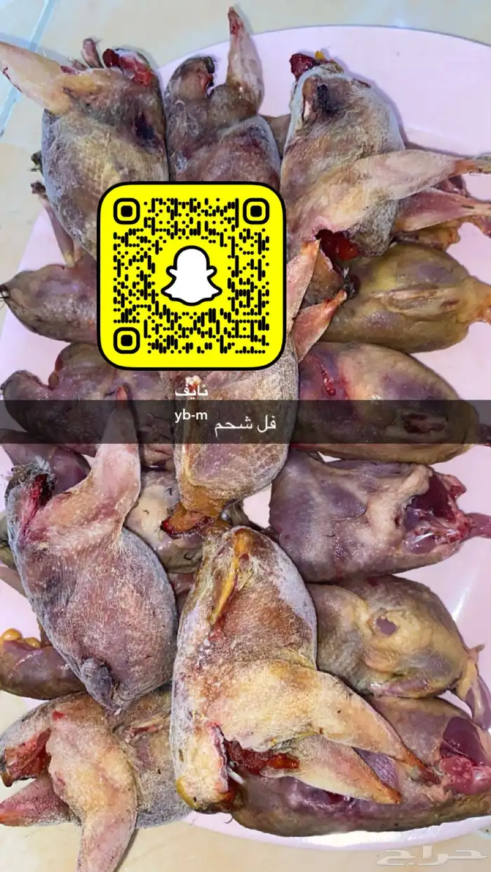 سمان مهاجر 0