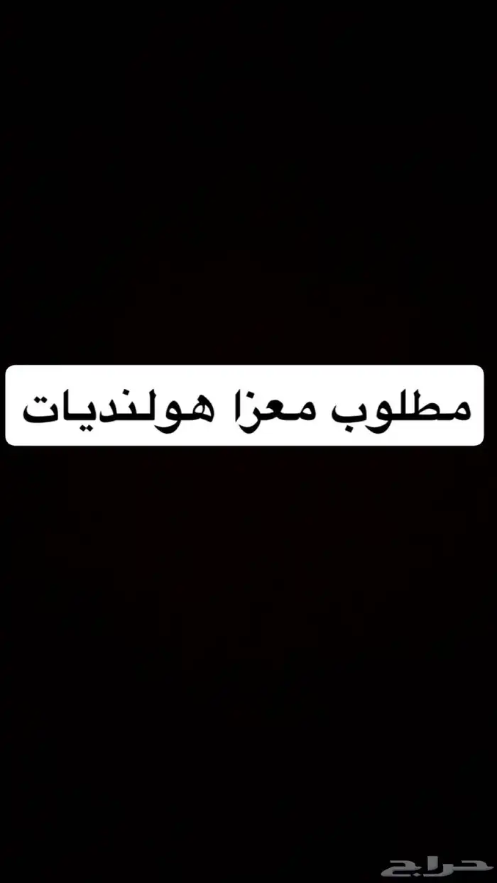 مطلوب معزا هولنديات 0
