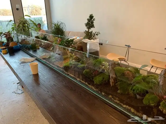 تفصيل تيراريوم بأحجام كبيرة جدا 1