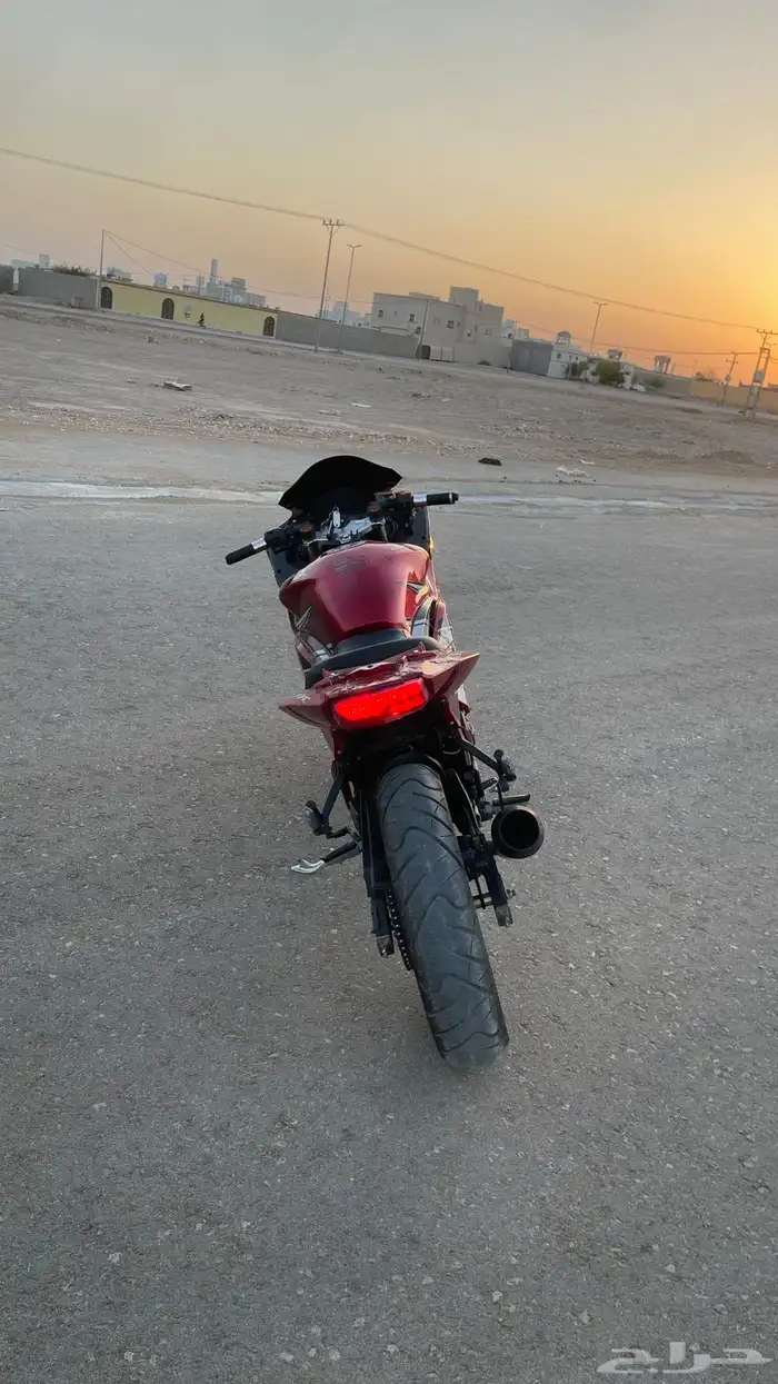 دباب ريس 4