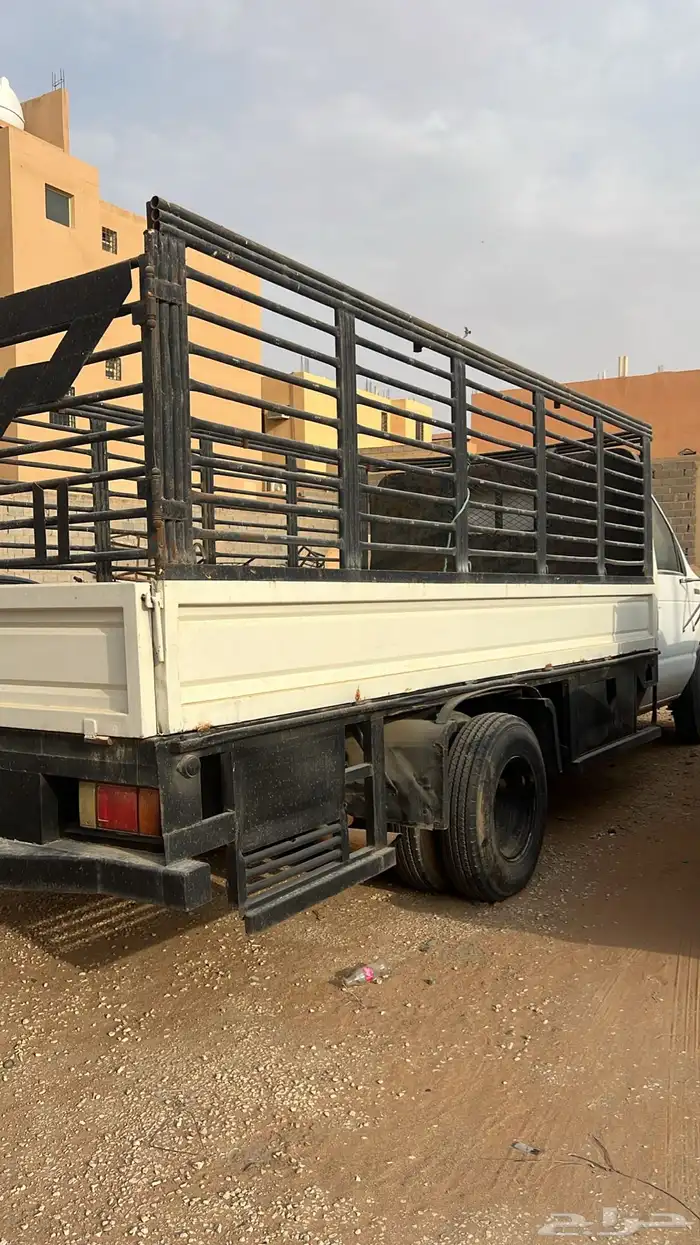 حوض دينة اسيزو 0