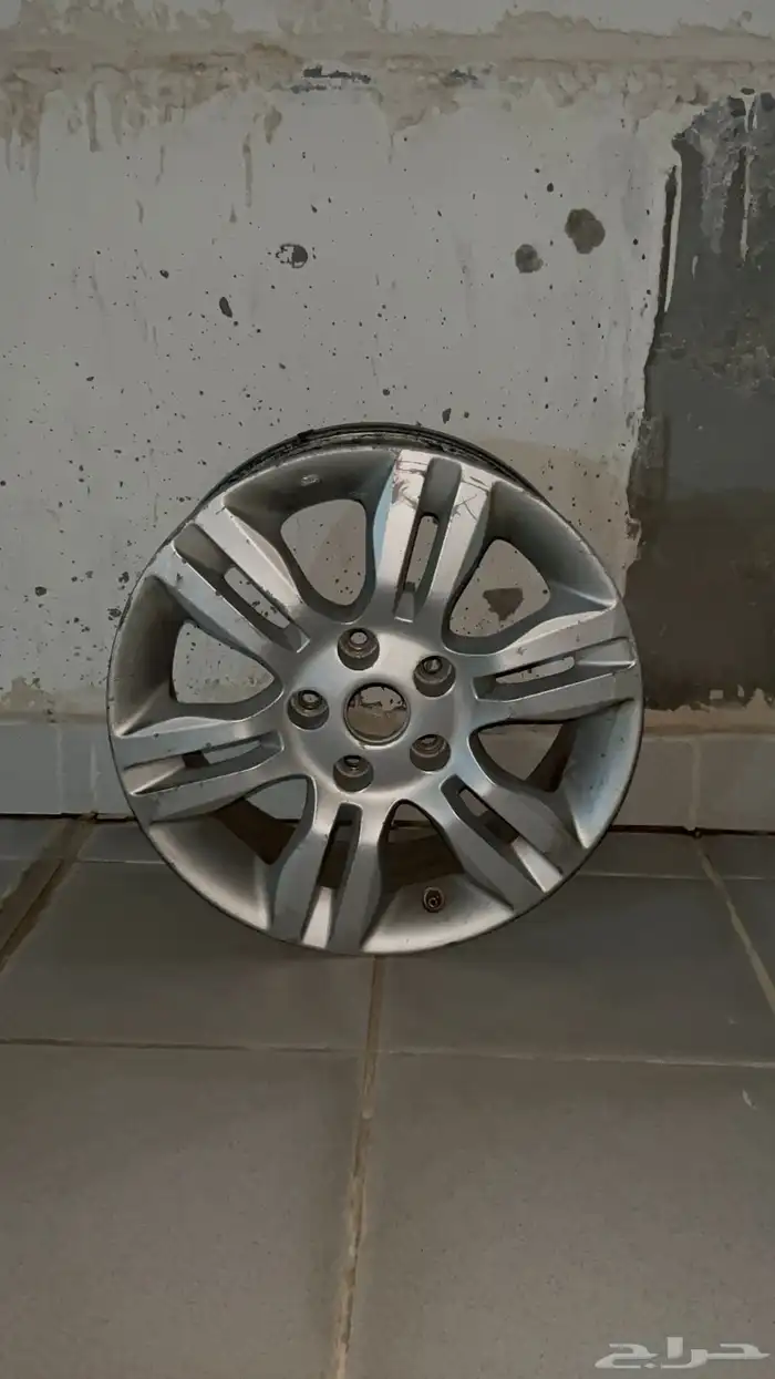 جنوط التيما 0