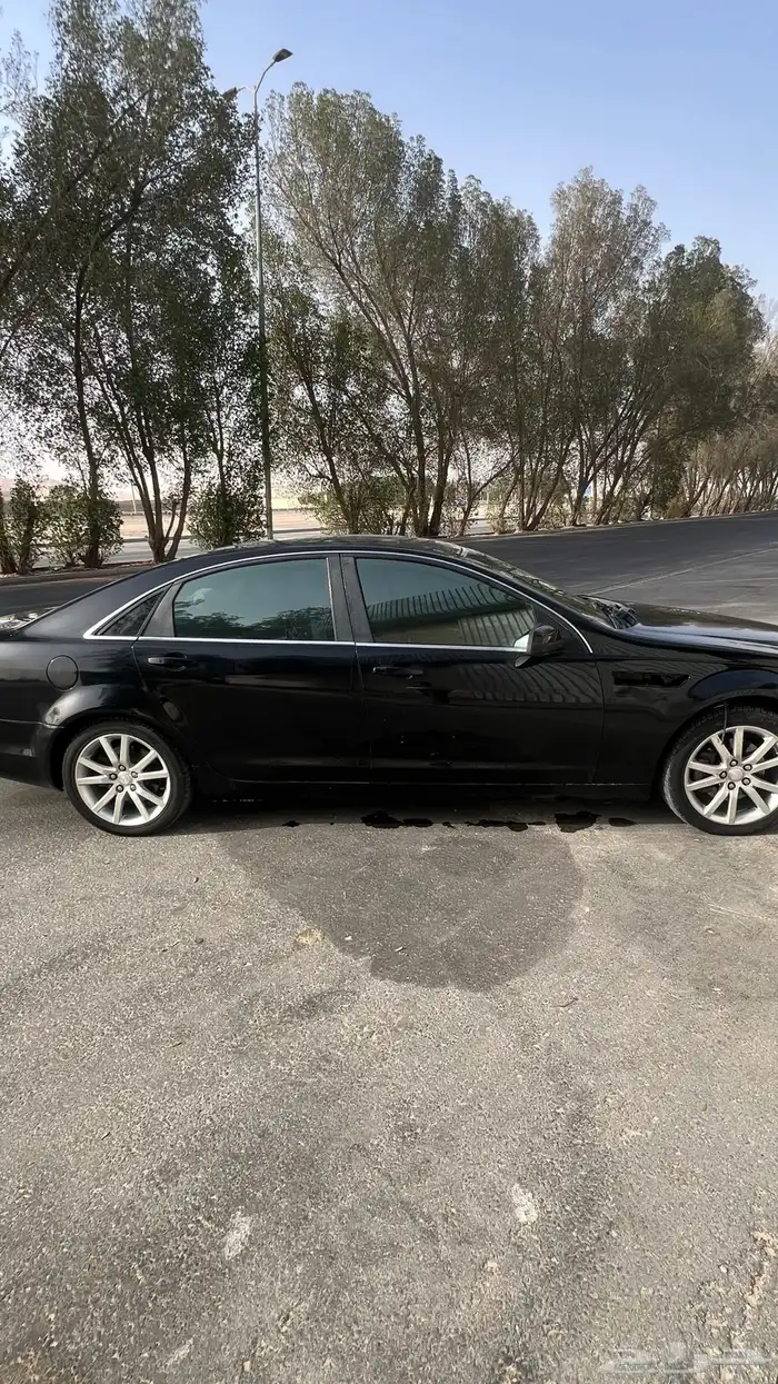 كابرس 2010 5