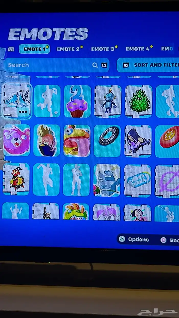 حساب فورت سكن البلس وتيك ذا ال 39