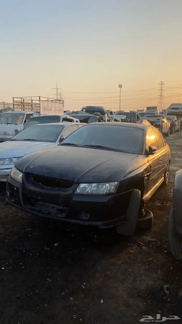 كابرس لومينا 3