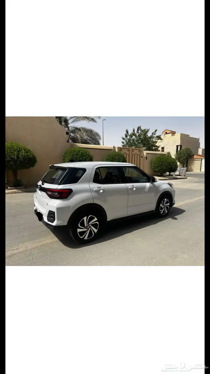 رايز 2024 للتنازل 2